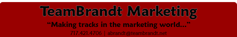 TeamBrandt Marketing